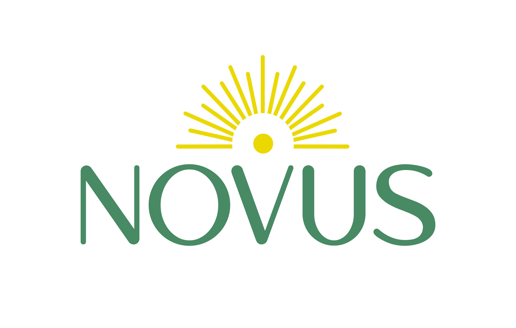 Novus Coconut Milk Drink with Nata De Coco - Novus